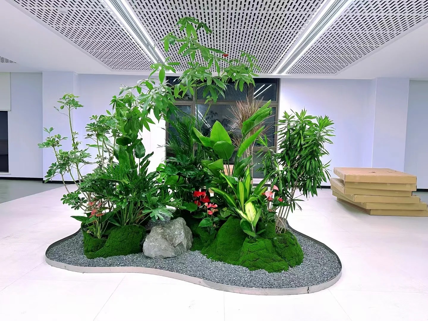 专业花卉租赁，宁波鄞州的绿植优选之道