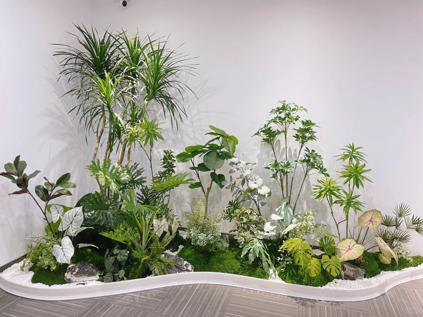 专业花卉租赁，宁波鄞州的绿植优选之道